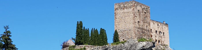 head ladis burg laudegg im sommer